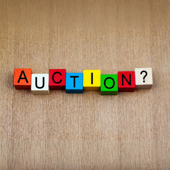 Annulment of Conducted Auction